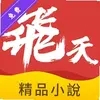 飞天小说