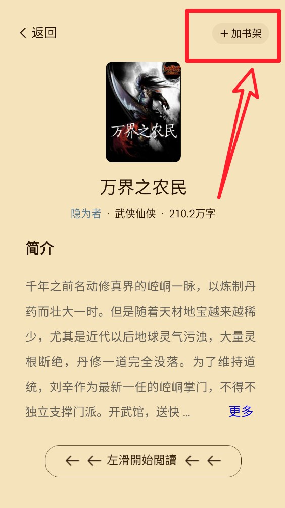 飞天小说