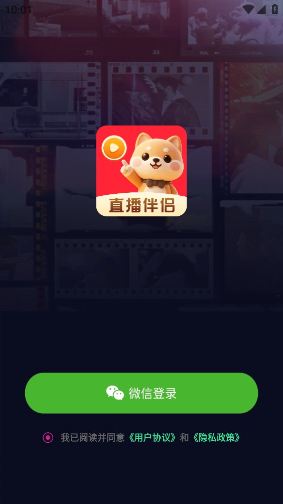 悟空直播伴侣