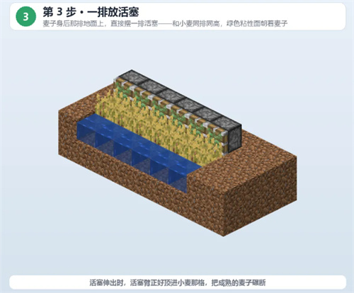 我的世界基岩版