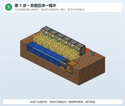 我的世界基岩版