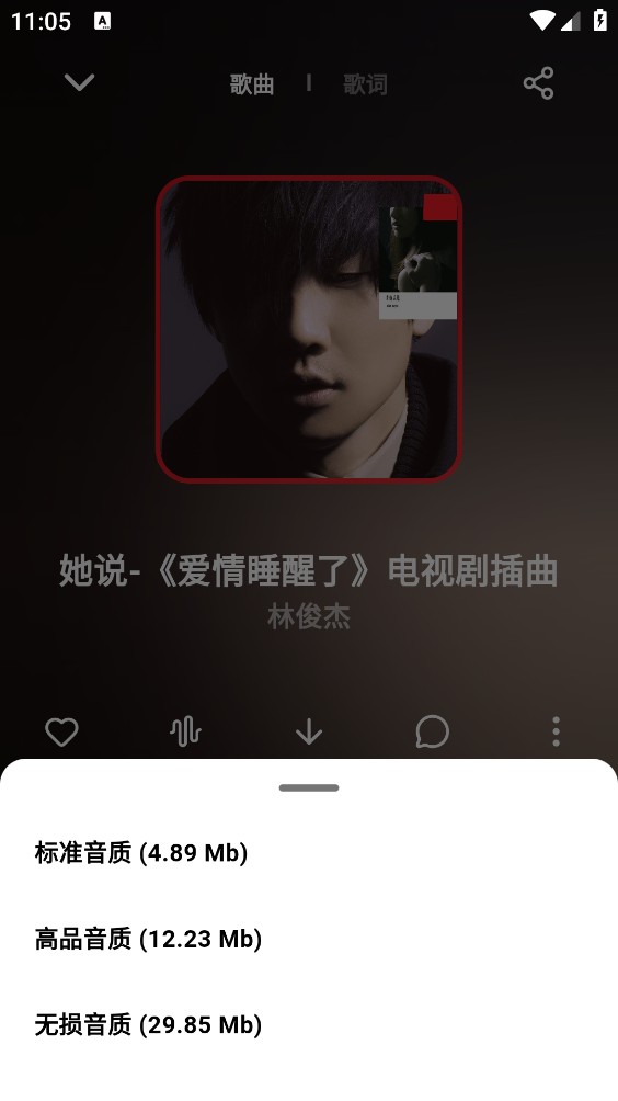 叶子音乐截图4