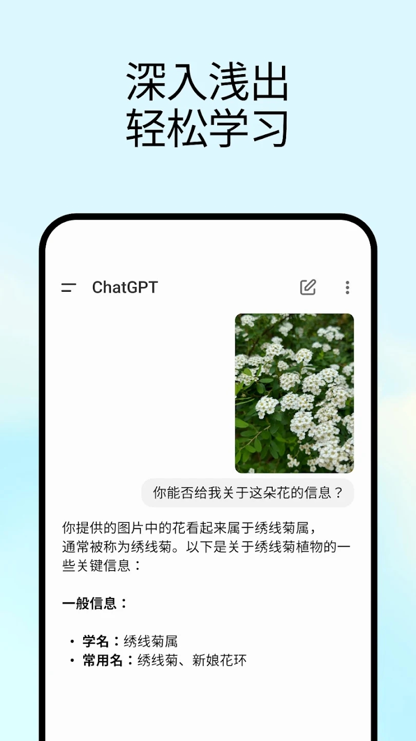 ChatGpt截图4