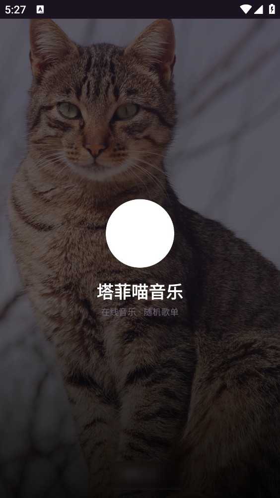 塔菲喵音乐