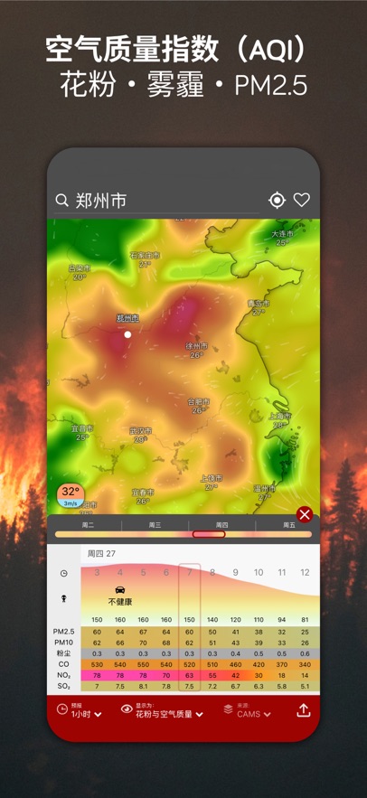 windy截图8