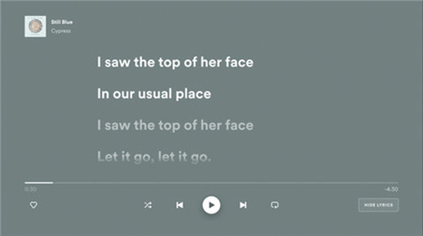 SpotifyTV版截图4