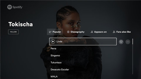 SpotifyTV版截图2