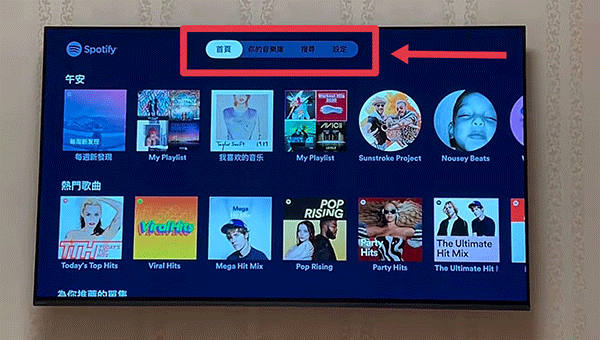 SpotifyTV版
