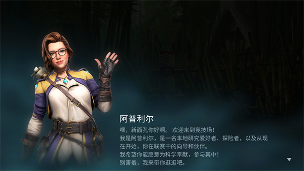 暗影格斗4